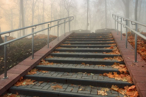 Sonbaharda Sisli Bir Parkta Sıcacık Bir Sokak Gomel Belarus 2020 — Stok fotoğraf