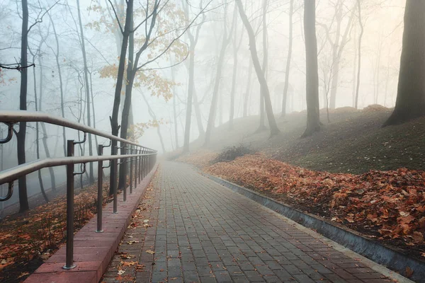 Sonbaharda Sisli Bir Parkta Sıcacık Bir Sokak Gomel Belarus 2020 — Stok fotoğraf