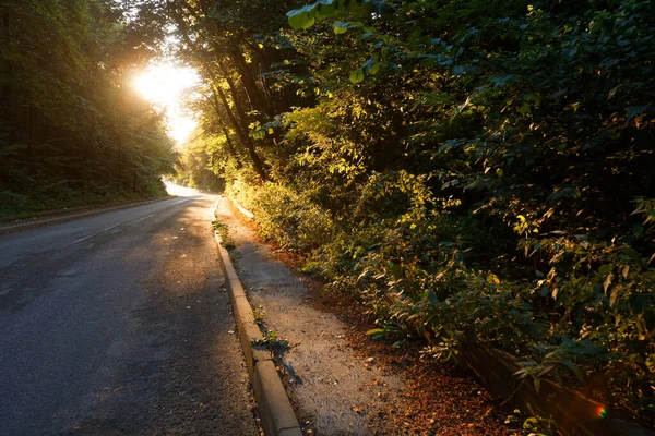 雾蒙蒙的2020年清晨落叶林中乡村道路的秋景 — 图库照片