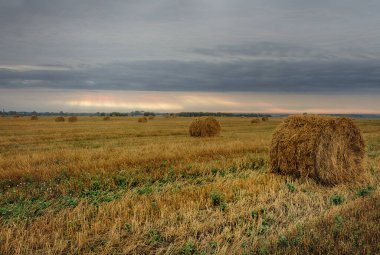 2020 'nin kasvetli bir gününde saman balyaları arka arkaya sahada