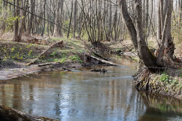 Landscape Small Wild River River Banks Covered Dry Old Grass — Stock Photo, Image