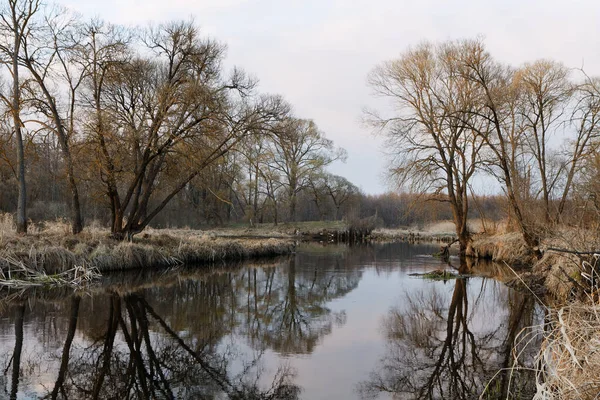 Landscape Small Wild River River Banks Covered Dry Old Grass — Stock Photo, Image