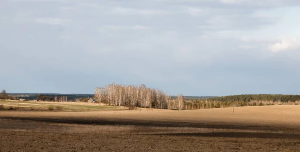 Mezőgazdasági Termőföld Naplementekor Magányos Tölgyfa Erdő Háttérben Színes Esti Felhők — Stock Fotó