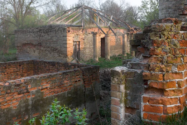 Zřícenina Staré Cihlové Budovy Historické Kulturní Dědictví Běloruska Město Khoiniki — Stock fotografie