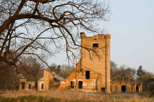 Ruinas Antiguo Edificio Ladrillo Patrimonio Histórico Cultural Belarús Ciudad Khoiniki Imagen De Stock