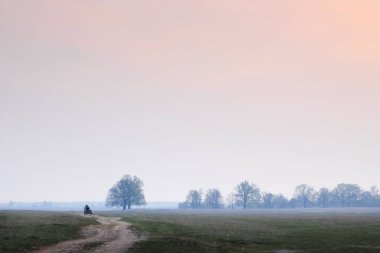2015 şafağında tarlada at arabası.