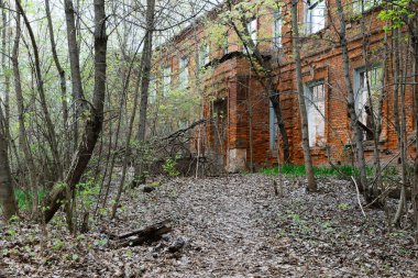 Eski bir tuğla binanın kalıntıları. Belarus 'un tarihi ve kültürel mirası. Şehir Khoiniki Gomel bölgesi Stein 2015