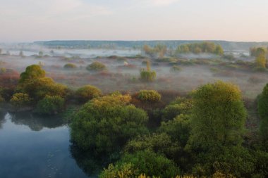 Sel ovasında sabah sisi, VETKA şehri, Sel ovası Sozh 2015