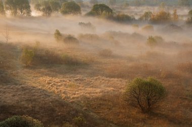 Sel ovasında sabah sisi, VETKA şehri, Sel ovası Sozh 2015