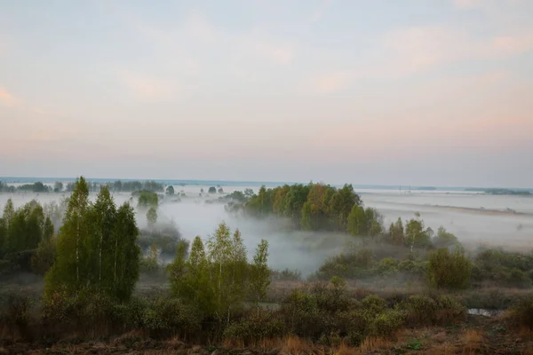 Morgennebel Der Aue Weißrussland Der Stadt Vetka Aue Sozh 2015 — Stockfoto