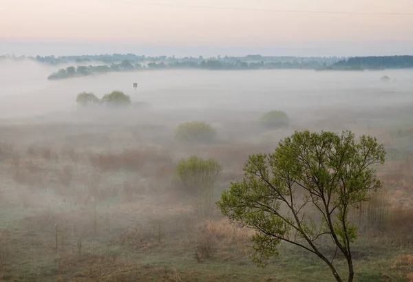 Niebla Mañana Llanura Inundable Bielorrusia Ciudad Vetka Llanura Inundable Sozh — Foto de Stock