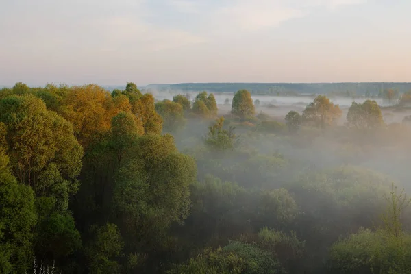 Ochtendmist Uiterwaarden Wit Rusland Stad Vetka Uiterwaarden Sozh 2015 — Stockfoto