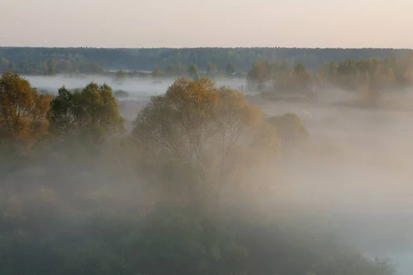 Morning Fog Floodplain Belarus City Vetka Floodplain Sozh 2015 — Stock Photo, Image