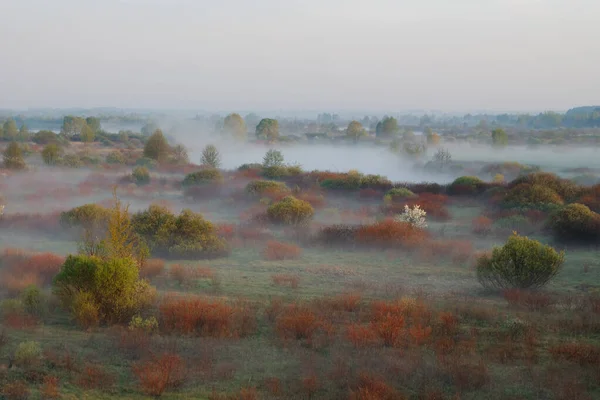 Ochtendmist Uiterwaarden Wit Rusland Stad Vetka Uiterwaarden Sozh 2015 — Stockfoto