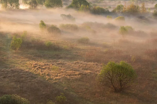 Brouillard Matinal Dans Plaine Inondable Biélorussie Ville Vetka Plaine Inondable — Photo
