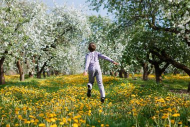 Elma bahçesindeki çocuk çiçek açmış ve karahindiba tarlasında 2020