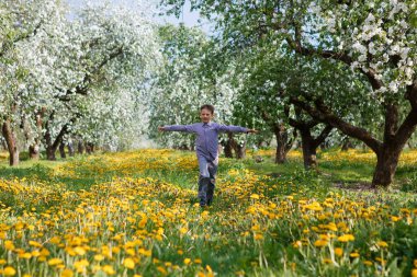 Elma bahçesindeki çocuk çiçek açmış ve karahindiba tarlasında 2020