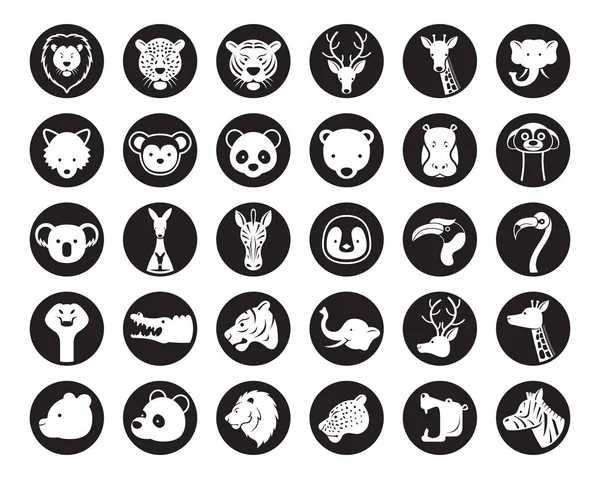 Zoo Safari Ikony Symbole — Wektor stockowy