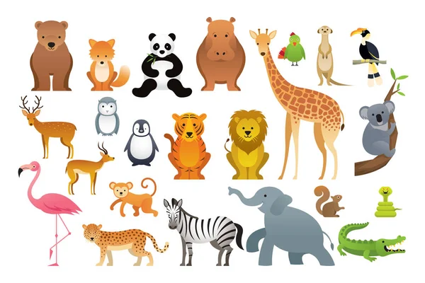 Zoo Safari Front View Side View — Stock Vector