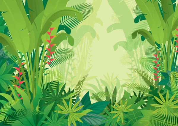 Forêt Forêt Tropicale Plantes Nature — Image vectorielle