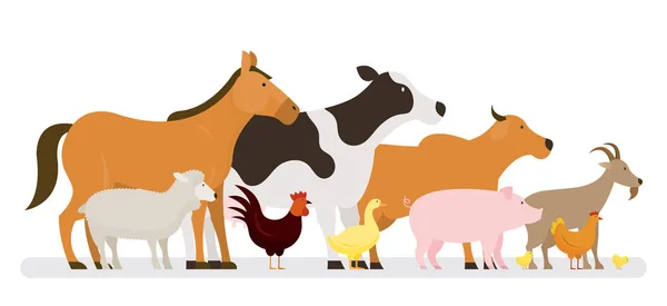 農場の動物のグループ ビュー 農業製品の側面 — ストックベクタ