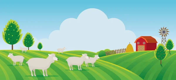 Allevamento Pecore Collina Paesaggio Fondo Agricoltura Coltivare Campagna Campo Rurale — Vettoriale Stock