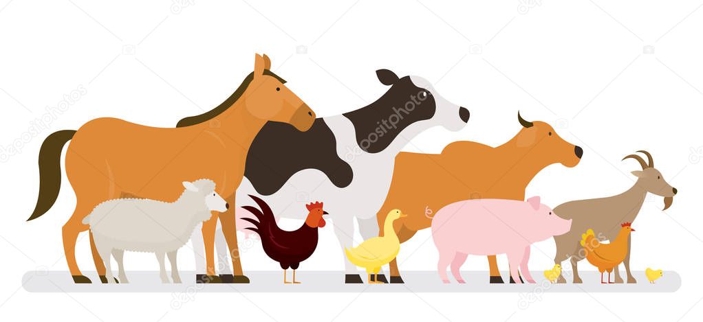 Group of Farm Animals, Side View, Farming, Farmland, Agriculture Product