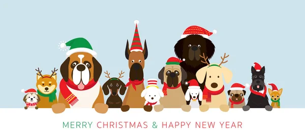 Perros Con Banner Celebración Disfraces Navidad Celebración Invierno Año Nuevo — Vector de stock