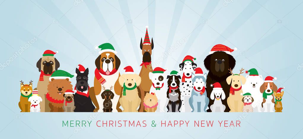 Group of Dogs Wearing Christmas Costume, Winter and New Year Celebration