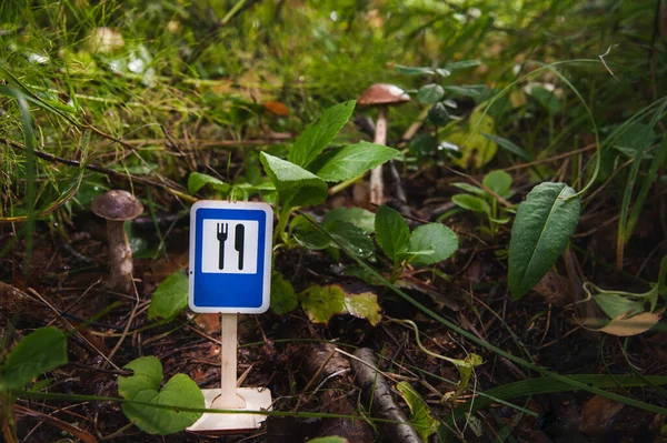 Ένα Μικρό Μανιτάρι Boletus Κύριο Θέμα Στο Γρασίδι Και Φύλλωμα — Φωτογραφία Αρχείου