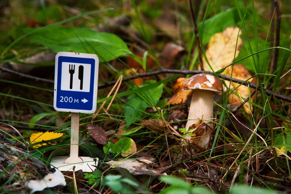 Cartello Stradale Giocattolo 200 Metri Prima Del Cibo Nella Foresta — Foto Stock