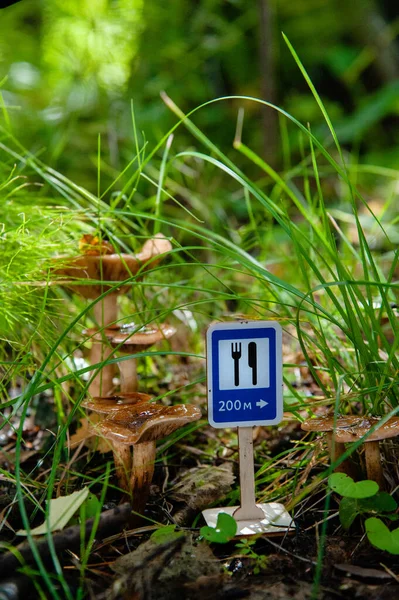 Zabawkowy Znak Drogowy Punkt Żywienia Zielonej Trawie Tle Grzybów Chanterelle — Zdjęcie stockowe