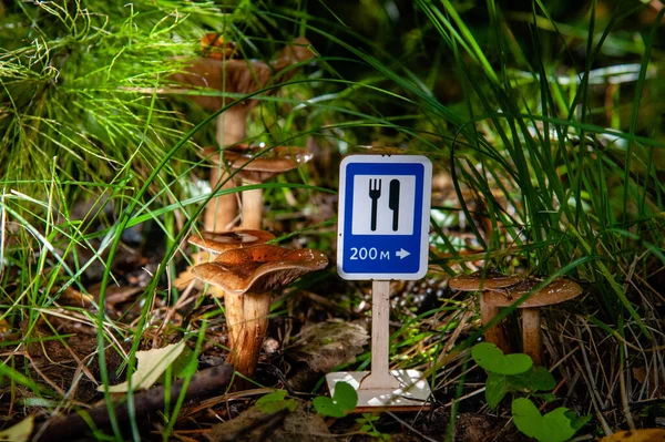 おもちゃの道路標識秋の日にシャトルキノコの背景に緑の芝生の中で フードポイント 閉めろ 栄養概念 コピースペース 劇的な光 — ストック写真