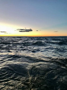 Vahşi doğada gün batımı 