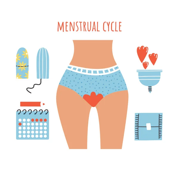 Conjunto vectorial de elementos del ciclo menstrual — Archivo Imágenes Vectoriales