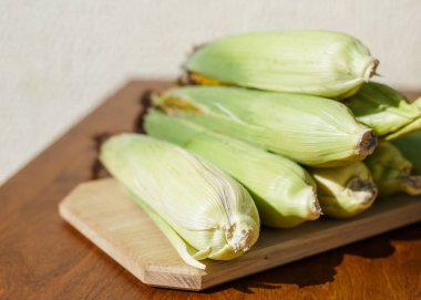 Koçanda taze mısır