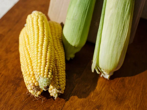 Fresh Corn Cob — Stock Photo, Image