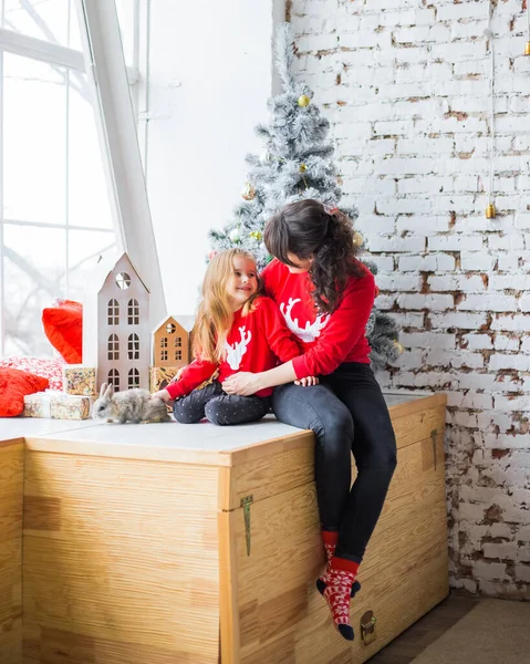 Anne ve çocuğun yeni yıl portresi