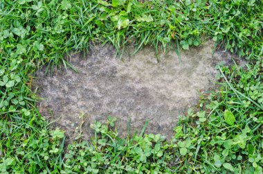 orta yeşil çim çerçevesinde bir taş konuyor