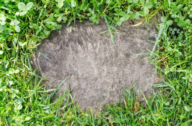 orta yeşil çim çerçevesinde bir taş konuyor