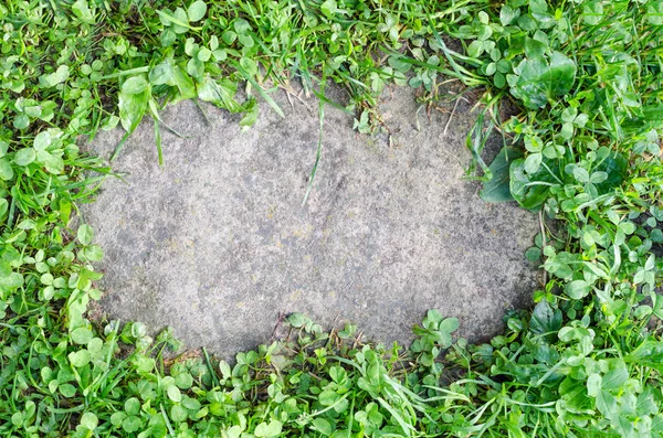 orta yeşil çim çerçevesinde bir taş konuyor