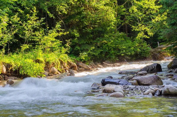 arka planı yeşil ağaçlar dağlarda nehir akar