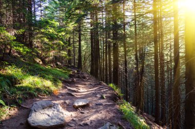 güneşli havalarda dağın zirvesine giden taş yolu