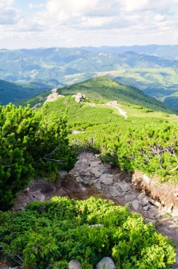 dağın tepesine önde gelen taş yolu