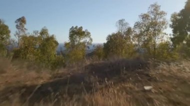 Ağaçların arasında uçan drone