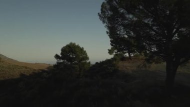 Dağlardaki ağaçlar arasında ilerleyen drone hareketi