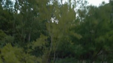 Gün batımında vadiyi gösteren hava görüntüsü