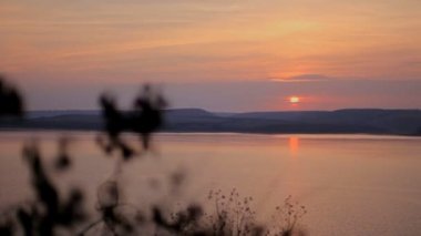 Nehri dallar ile güzel bir gün batımı manzarası