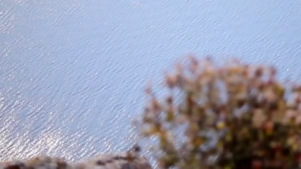 Det blå vattnet i floden lyser i solen på en solig höstdag. Visa från stranden — Stockvideo
