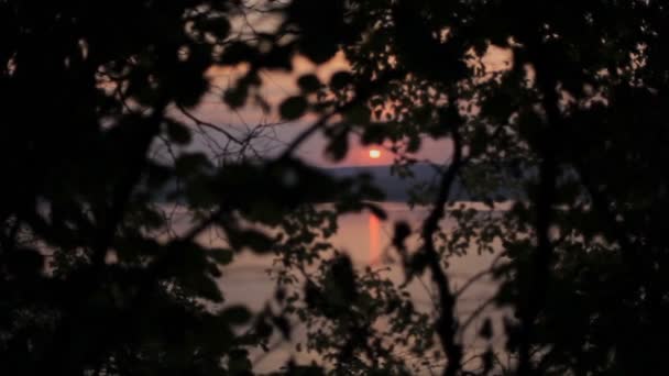 Utsikt över en vacker solnedgång över floden mjuk fokus, boke — Stockvideo